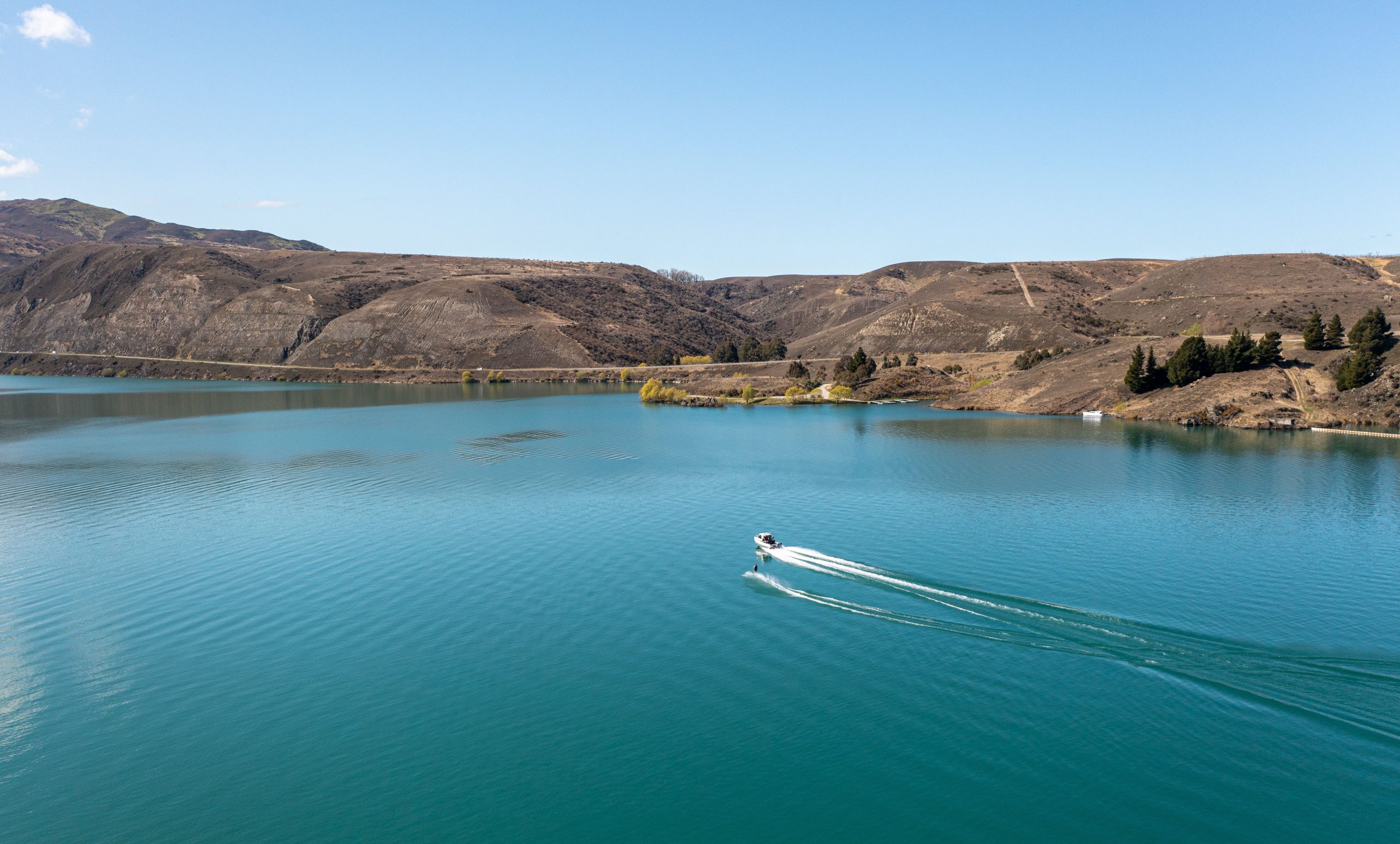 Premium Offering Drives Clyde Market Harcourts Alexandra Resources