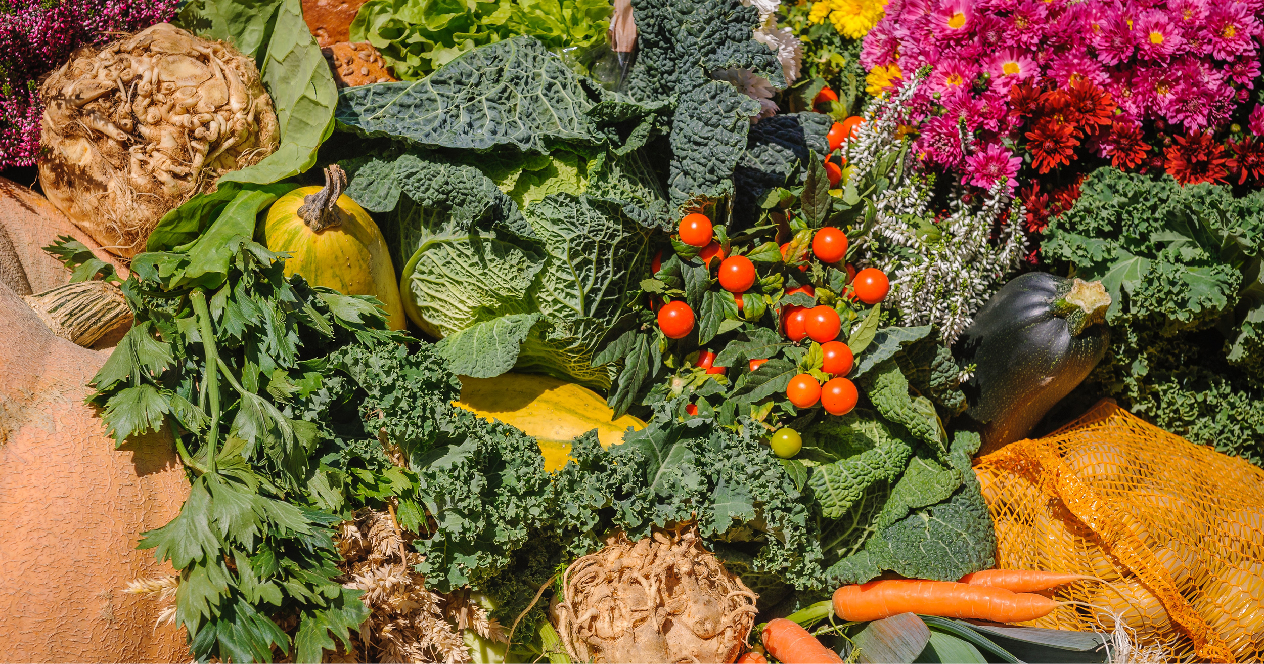 Curated visual reference: World Leading Self Sufficiency Resources Photo Inspiration